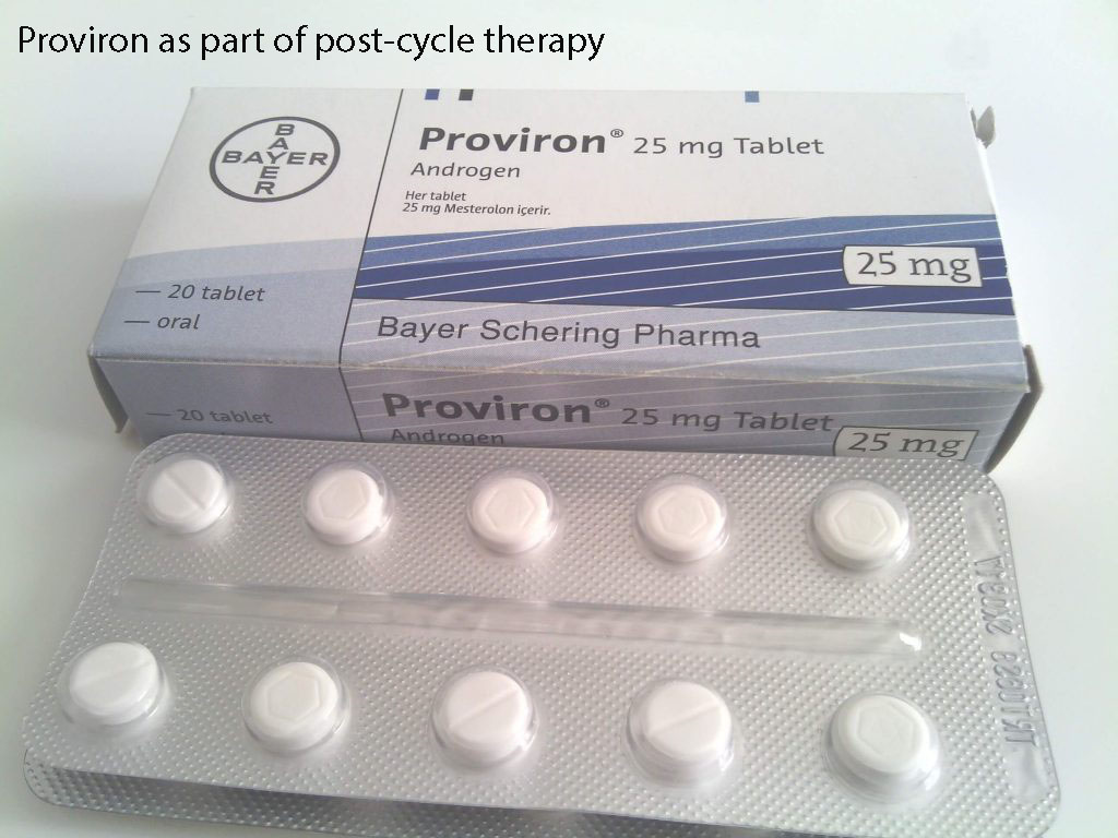 Proviron as part of post-cycle therapy