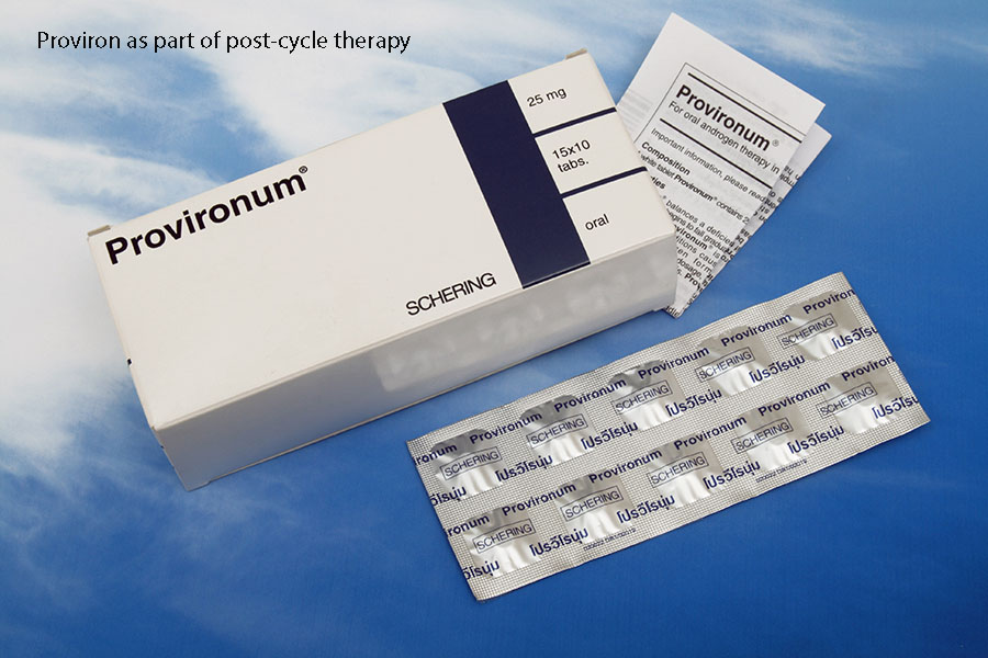Proviron as part of post-cycle therapy